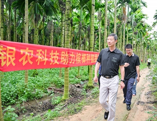 不斷創(chuàng)新納米農(nóng)藥，“銀農(nóng)三寶”助力檳榔提質(zhì)增收